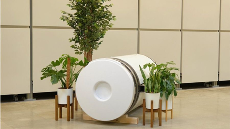Death Care Goes Green