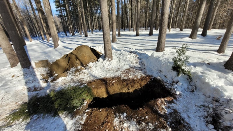 Death has a Big Carbon Footprint. Maine’s First Conservation Cemetery Offers An Alternative