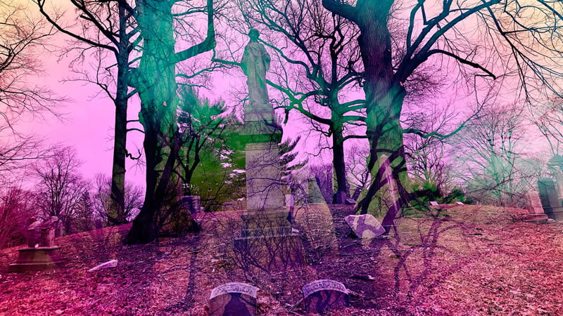 Want to Lead a Better Life? The Secret Is in the Cemetery